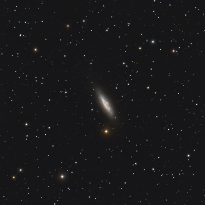 NGC 6503