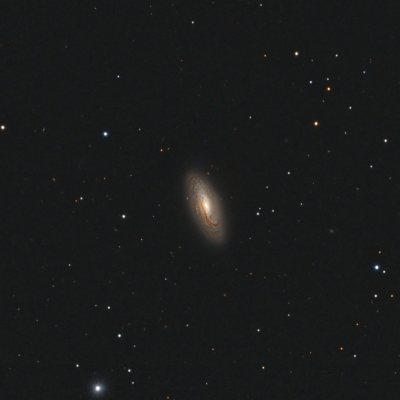 NGC 5005 