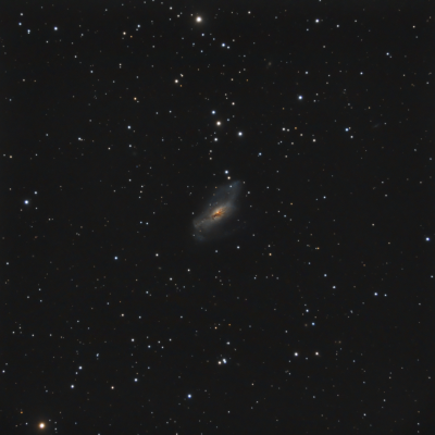 NGC 2146 LRGB