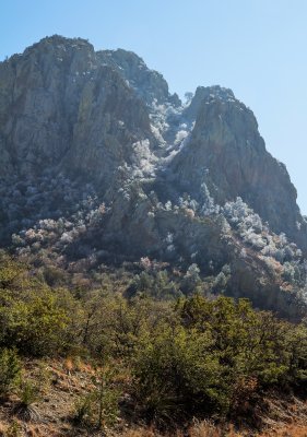 IMG_6181.jpg