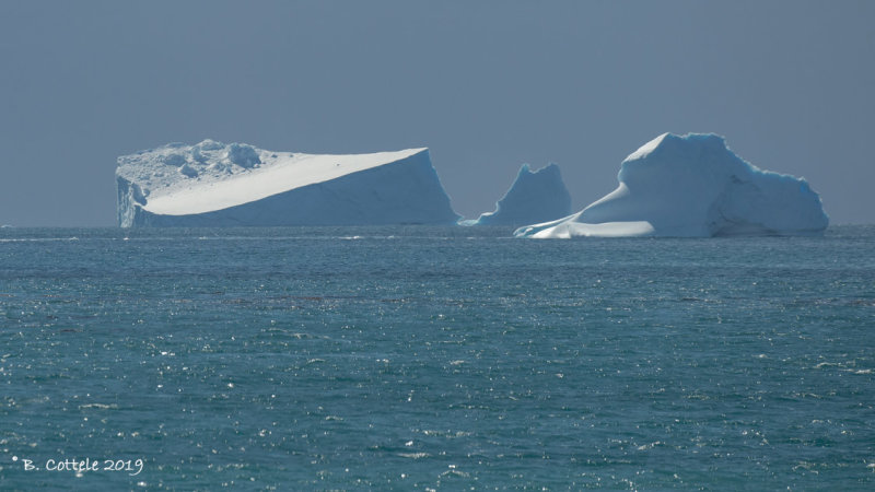 Ijsbergen - Icebergs