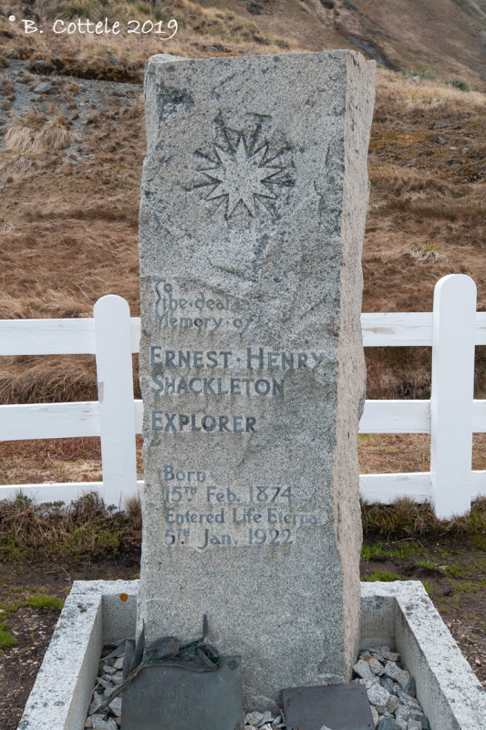 Graf Shackleton - Grave Shackleton