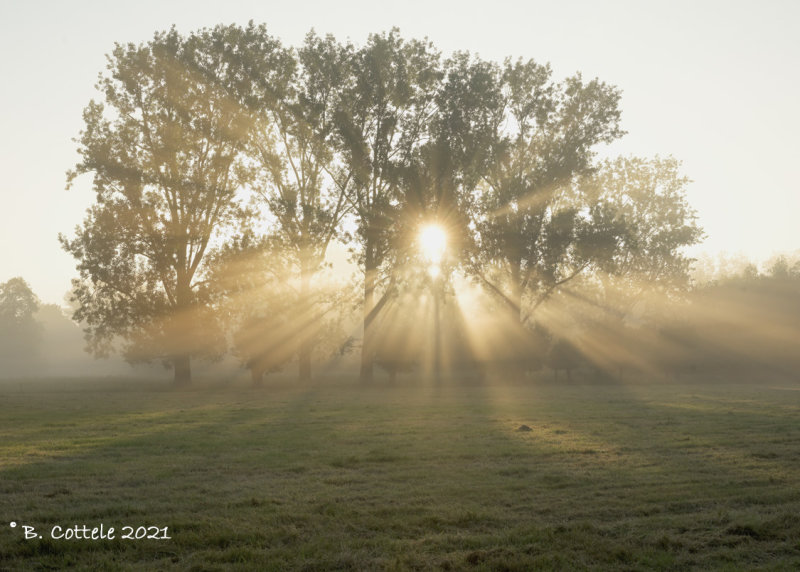 Zonsopkomst - Sunrise