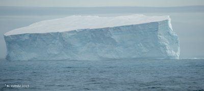 IJsberg - Iceberg