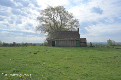 Oude schapenschuur - Old sheep barn
