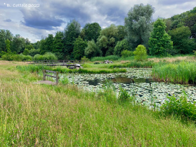 Arboretum 