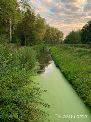 Vinderhoutse bossen