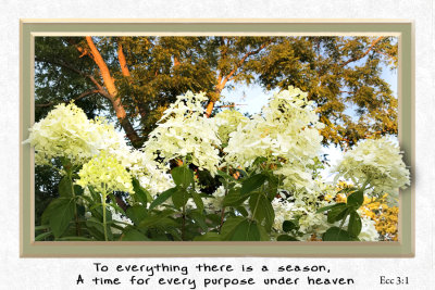 To Everything A Season