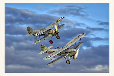 Gloster Gladiator and Hawker Demon_I0H0391/7