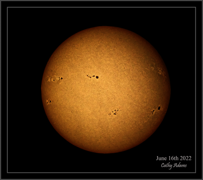 July 16th Sun Exposed to show the surface texture and movement