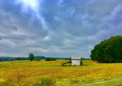 Tour To Tanglewood Century Ride