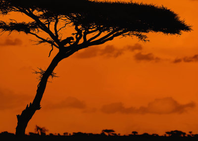 TANZANIA
