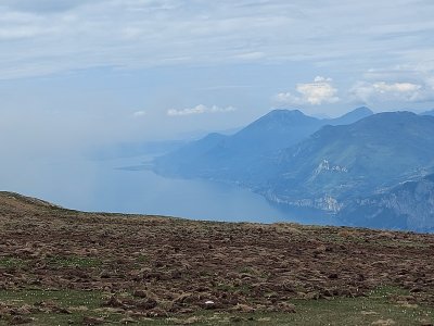 20220502_114418.jpg