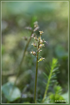 _MG_6112-6120kopie.jpg