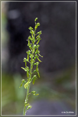 _MG_6676-6681.jpg