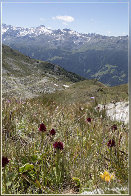 _MG_4540+4541kopie.jpg