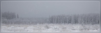 IMG_2106.jpg