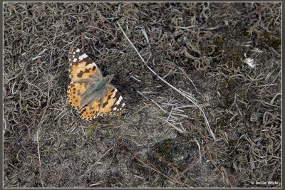 _MG_2540.jpg