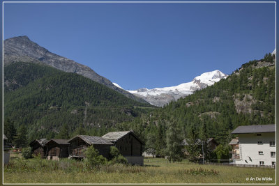 _MG_3026.jpg