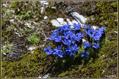 _MG_5040.jpg