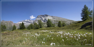 _MG_5968-5970kopie.jpg