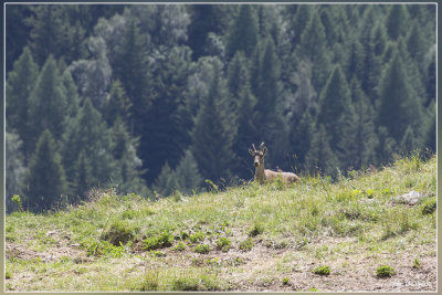 _MG_6901.jpg