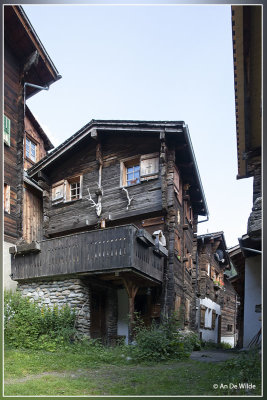 _MG_7011.jpg