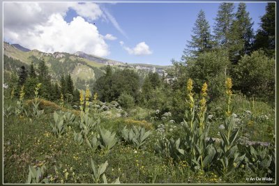 _MG_1936.jpg