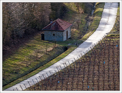 Vineyard Hut