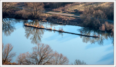 Reflections on River Main 