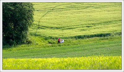 Afternoon Walk