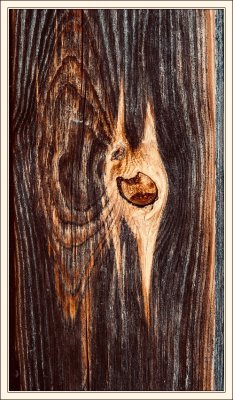 Old Wood