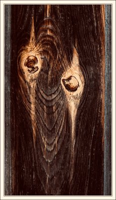 Old Wood 