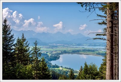 View from Buchenberg ...