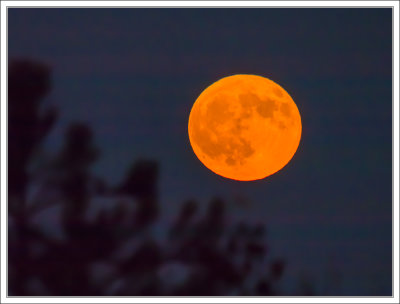 Full Beaver Moon 