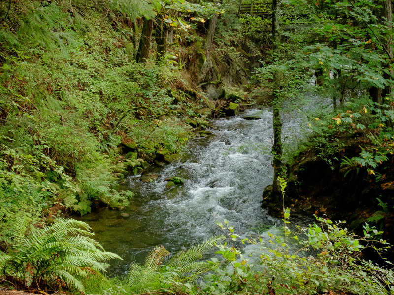 DSCF7878.jpg