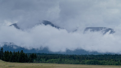 _2090742.jpg