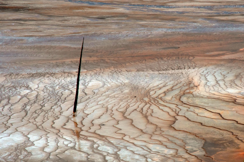 Grand Prismatic Microbial Mats