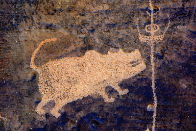 Canyon Chupacabra