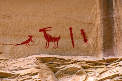 Red Sheep