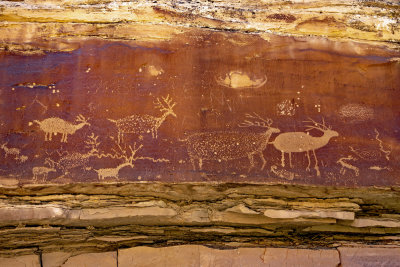 Nefertiti Elk Panel