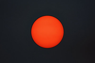 Wildfire Sun