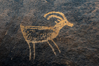 Anasazi Bighorn