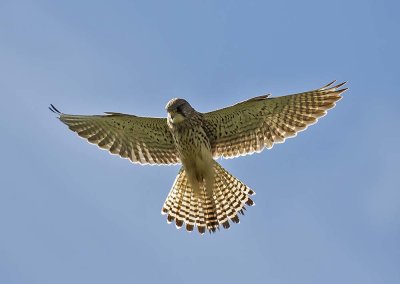 This shot was taken from the car while caught in a traffic jam
