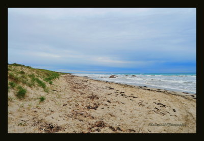 The Limestone Coast, South Australia