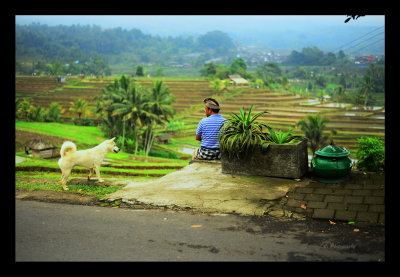 Local tourist driver is waiting for his client and played with one of the locals