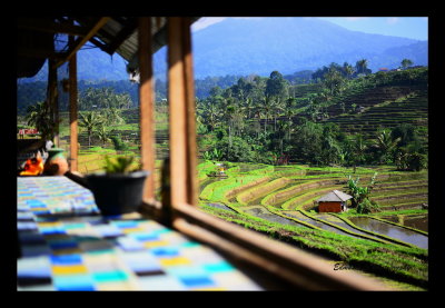 View to the Jatiluwih Rice Terraces from a local store 