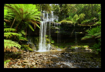 Russel Falls, Mount Field National Park