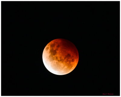 Super Flower Blood Moon - lunar eclipse