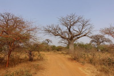 81.jpg
